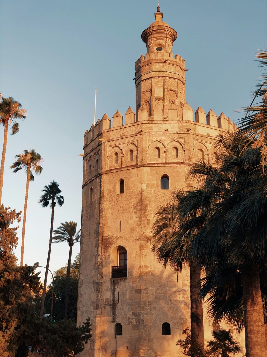 La Torre del Oro bañada por el sol poniente entre las siluetas de las palmeras