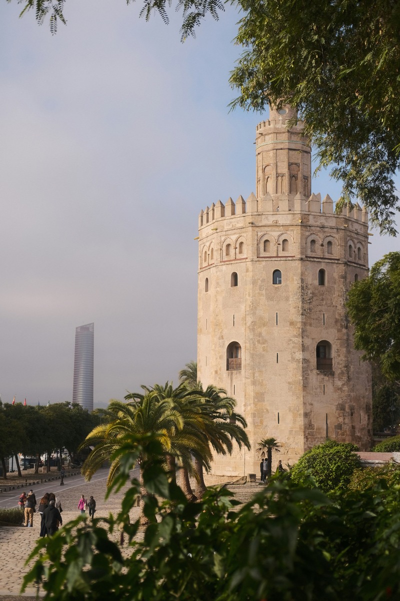 La Torre del Oro fotografiada a través de las ramas, con la silueta de la Torre Sevilla en la lejanía
