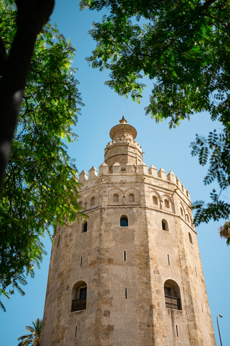 Contrapicado de los cuerpos superiores de la Torre del Oro entre la densa vegetación verde