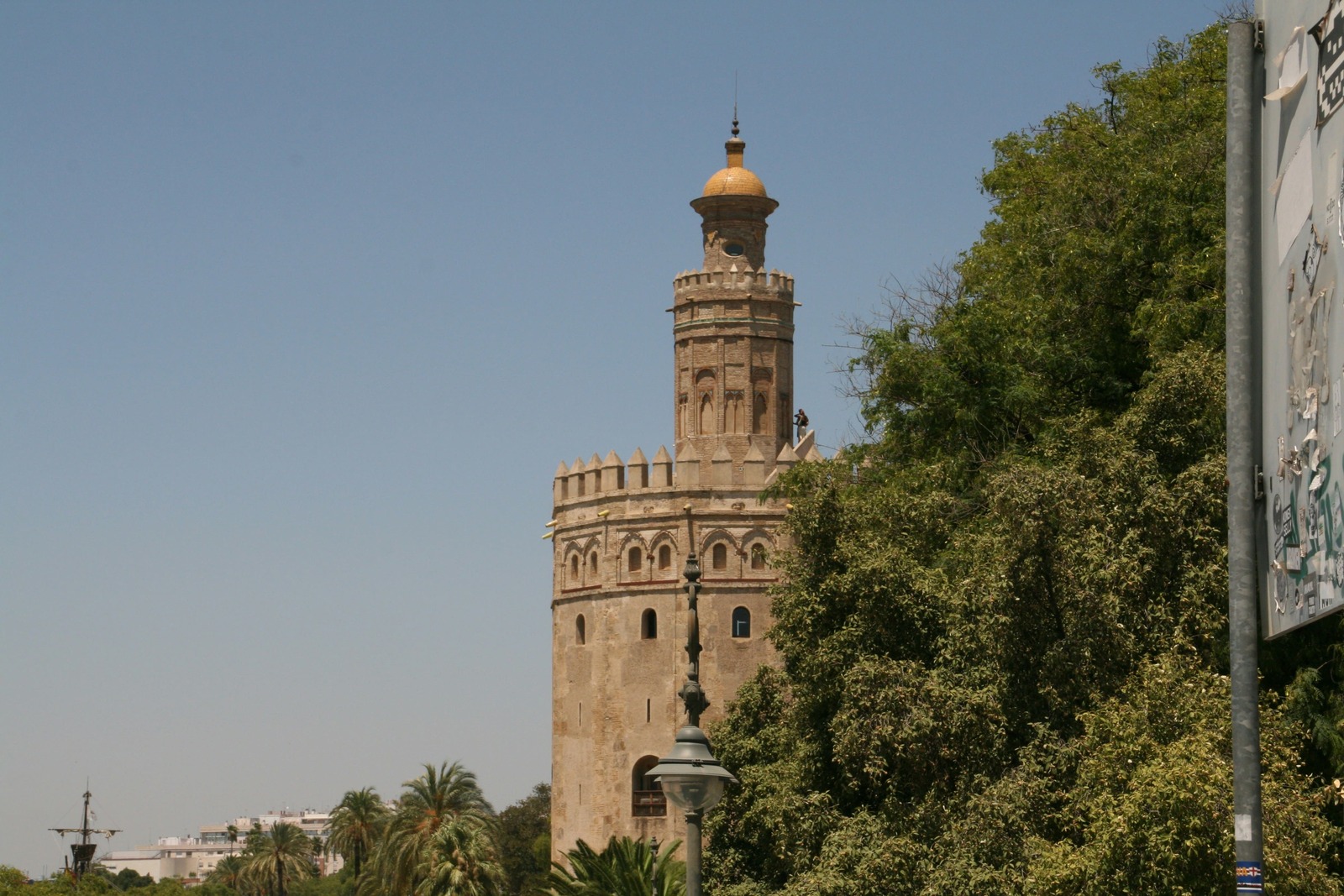 Los cuerpos superiores de la Torre del Oro asomando entre el follaje de un árbol