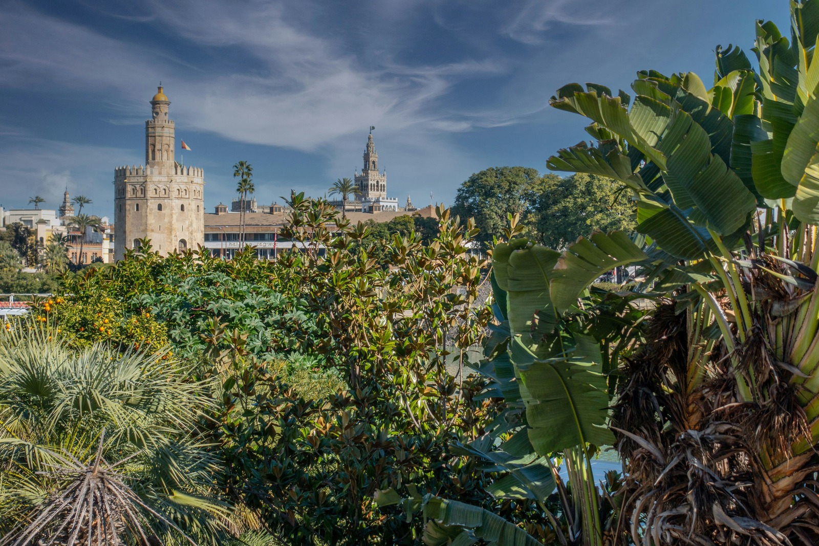 La Torre del Oro enmarcada por vegetación con la catedral de Sevilla a lo lejos