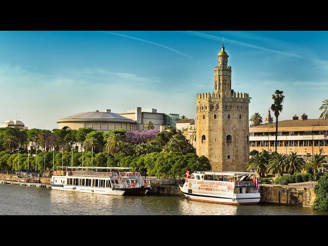 Descubre la histórica Bodeguita de la Torre del Oro en Sevilla